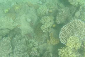 Cairns: the front door to the Great Barrier Reef