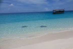Los Roques, Bora Bora ou Maldivas? Qual das 3 é melhor?